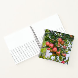 Cuaderno Receta de salsa de manzana