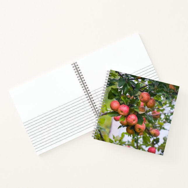 Cuaderno Receta de salsa de manzana (Interior)