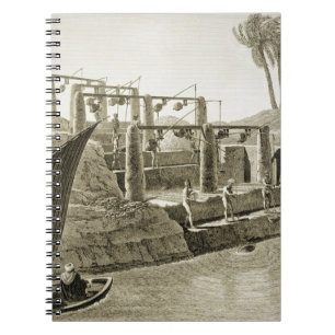 Cuaderno Recogiendo el agua del Nilo, platee 6 de Volum