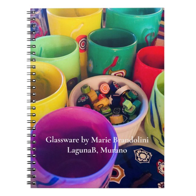 Cuaderno RECOPILACIÓN DE PEQUEÑOS VIDRIOS DE LagunaB, (Frente)