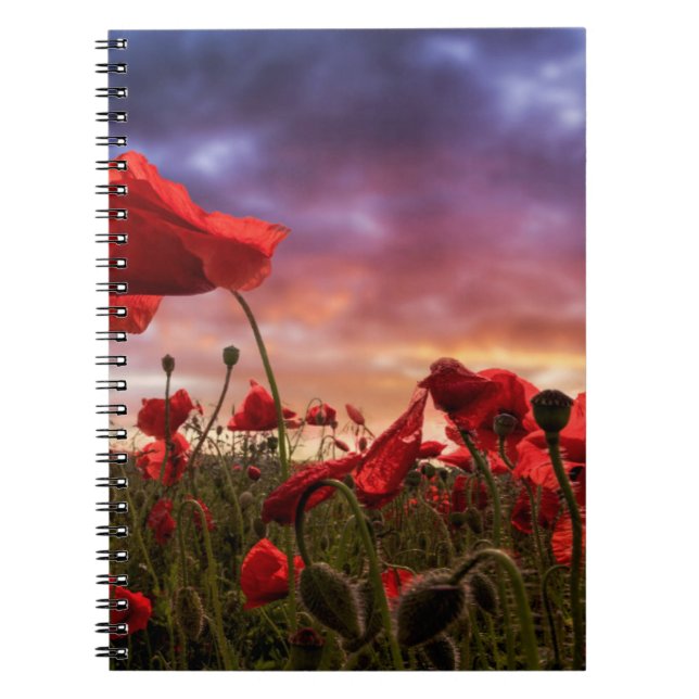 Cuaderno Recordar el campo del | de amapolas (Frente)