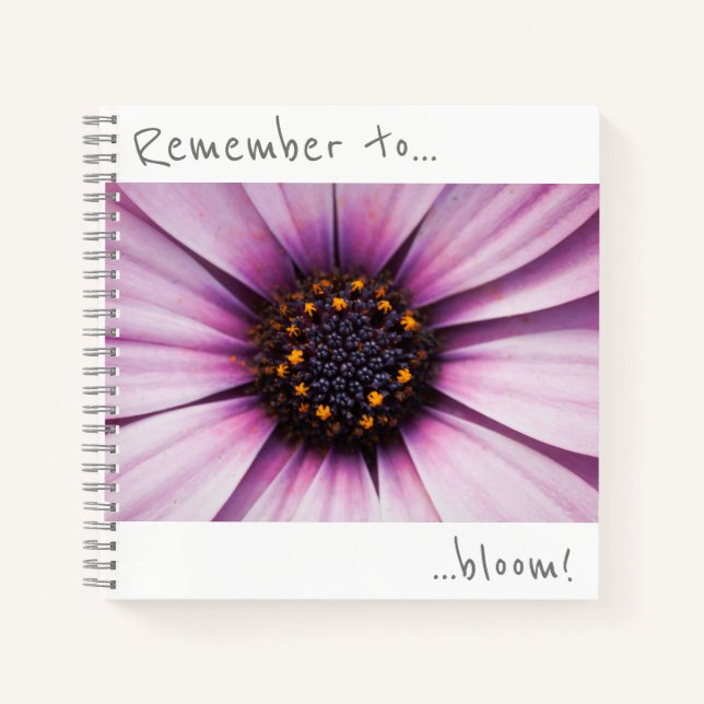 Cuaderno Recuerde florecer Osteospermum Flor Notebook (Anverso)