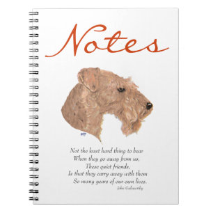 Cuaderno Recuerdo del Puente Arcoíris