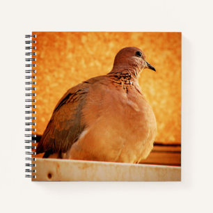 Cuaderno Recuerdos olvidados