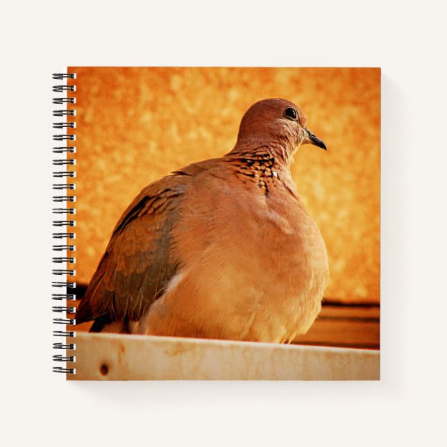 Cuaderno Recuerdos olvidados (Anverso)