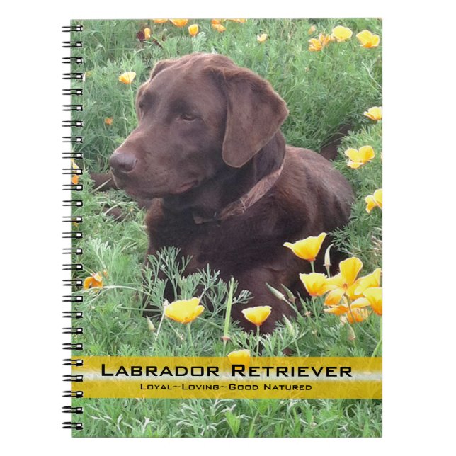 Cuaderno Recuperador de Labrador Marrón en fotografía de pa (Frente)