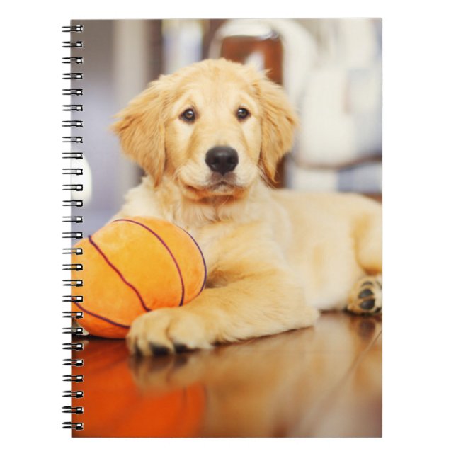 Cuaderno Recuperador de oro con juguete de baloncesto (Frente)
