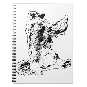 Cuaderno Recuperar planes y listas