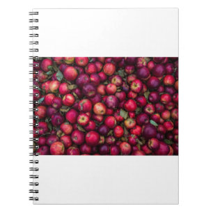 Cuaderno Red Apples