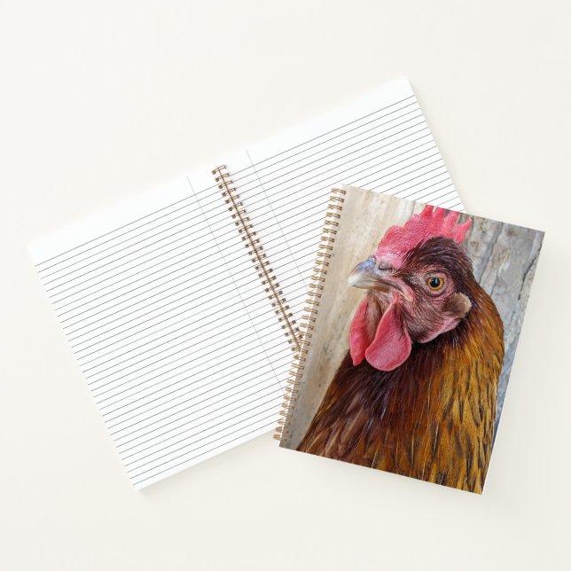 Cuaderno Red Chicken Hen Photo (Interior)