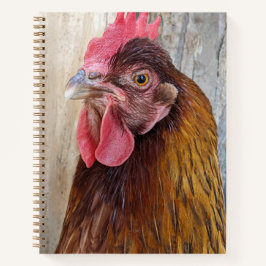 Cuaderno Red Chicken Hen Photo