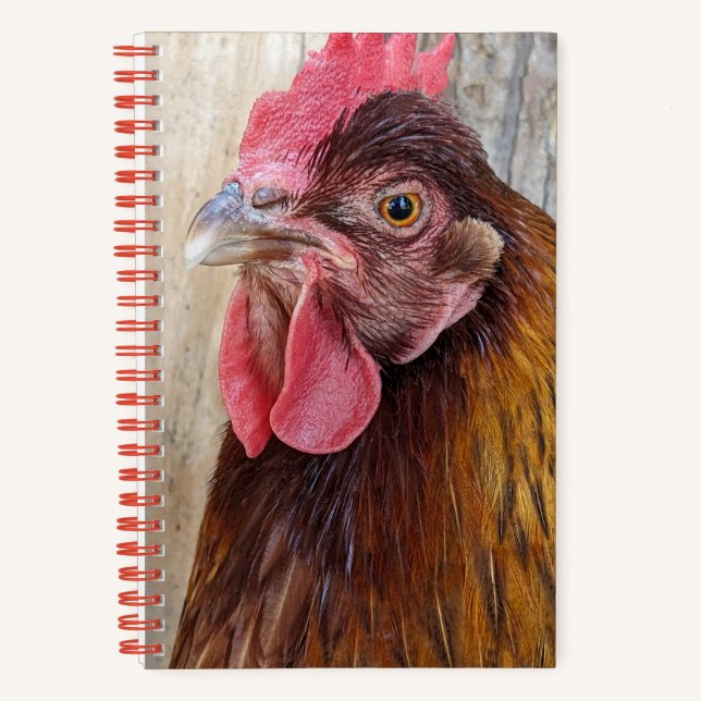 Cuaderno Red Chicken Hen Photo (Anverso)