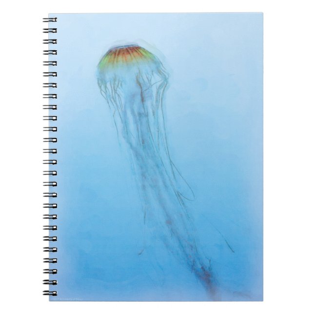 Cuaderno Red de mar (Frente)