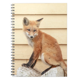 Cuaderno Red Fox Kit en el Valle de Hudson