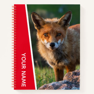Cuaderno Red Fox Wildlife Animal Australia