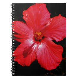 Cuaderno Red Hibiscus