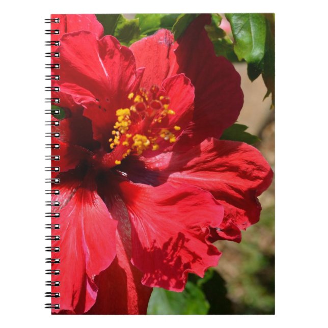 Cuaderno Red Hibiscus (Frente)