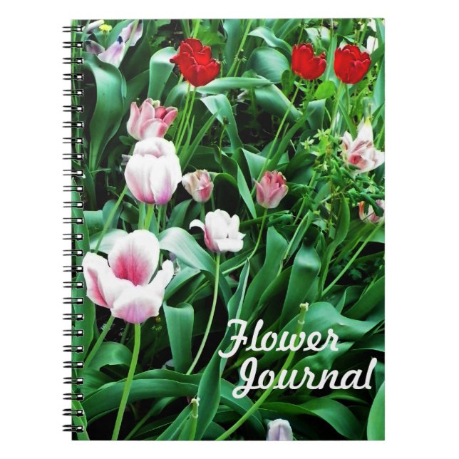 Cuaderno Red & Pink Tulips Pictures (Frente)