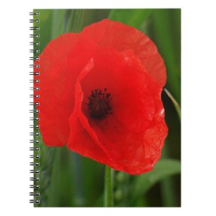 Cuaderno Red poppy