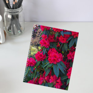 Cuaderno Red Rhododendron Blooms Bloc de notas florales