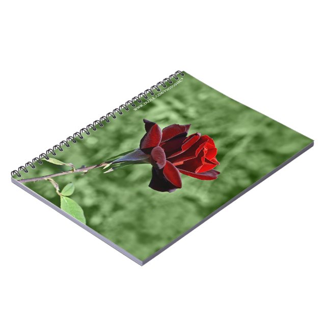Cuaderno Red Rose (Lado Izquierdo)