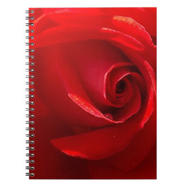 Cuaderno Red-Rose-3.jpg