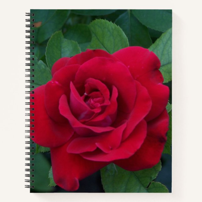Cuaderno Red Rose Close (Anverso)