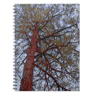 Cuaderno Red Trunk Pine