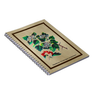 Cuaderno Redhaw Hawthorn En Papel Antiguo