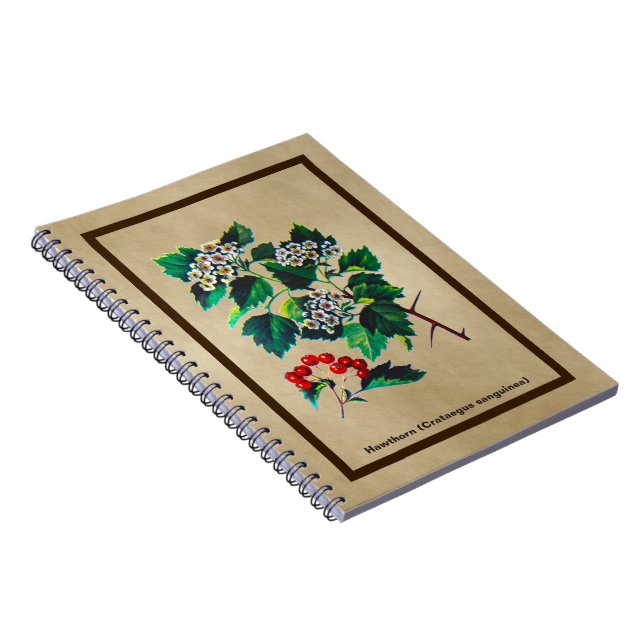 Cuaderno Redhaw Hawthorn En Papel Antiguo (Lado Derecho)