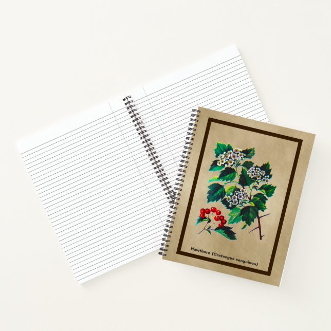 Cuaderno Redhaw Hawthorn En Papel Antiguo (Interior)
