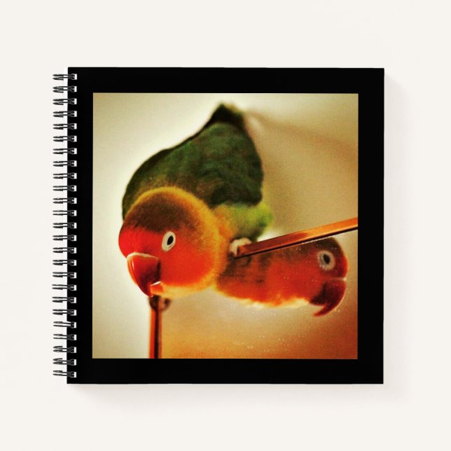 Cuaderno Reflexión (Anverso)