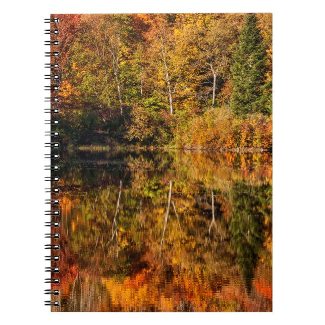 Cuaderno Reflexión de otoño sobre el estanque de cisne (Frente)