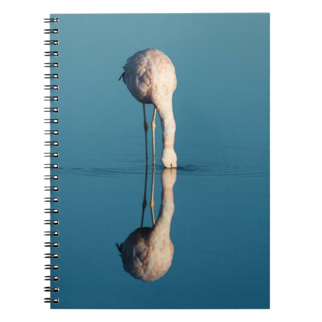 Cuaderno Reflexión del flamenco, Laguna Chaxa, Atacama (Frente)