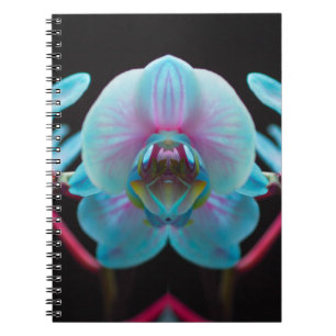 Cuaderno Reflexión Exótica de Orquídea Azul