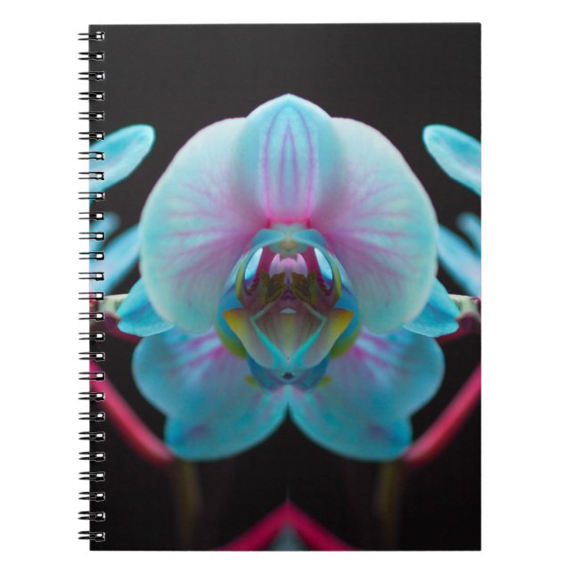Cuaderno Reflexión Exótica de Orquídea Azul (Frente)