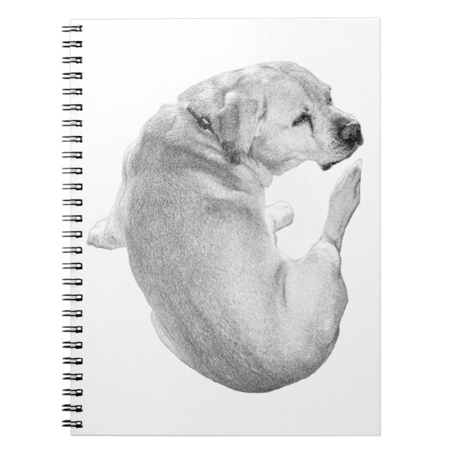Cuaderno Reflexiones curvadas (Frente)