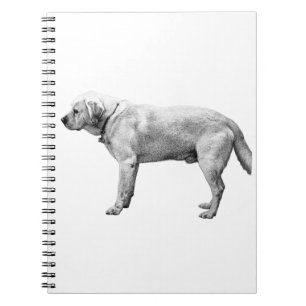 Cuaderno Reflexiones de cosecha