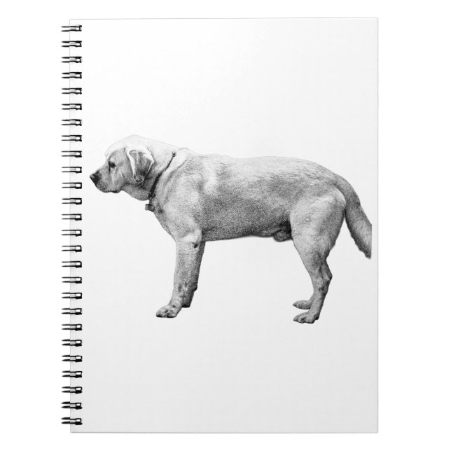 Cuaderno Reflexiones de cosecha (Frente)