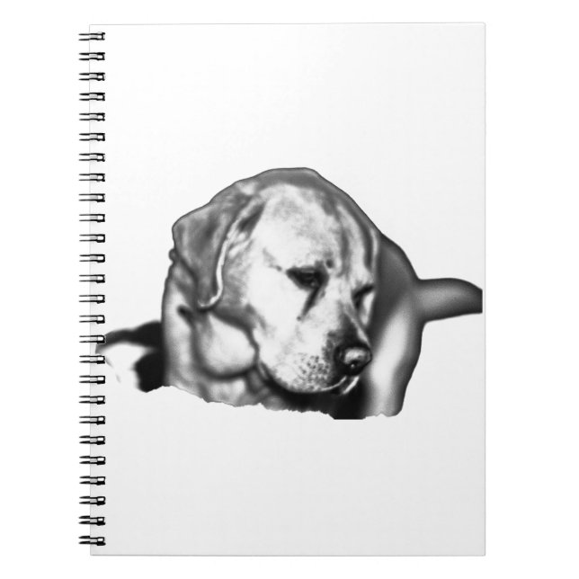 Cuaderno Reflexiones de Dreamscape (Frente)