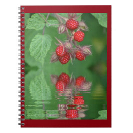 Cuaderno Reflexiones de frambuesa roja