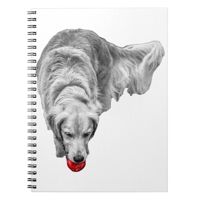 Cuaderno Reflexiones de la cosecha del pepino (Frente)