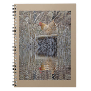 Cuaderno Reflexiones de pollo