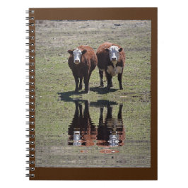 Cuaderno Reflexiones de vaca