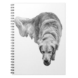 Cuaderno Reflexiones del amanecer helado