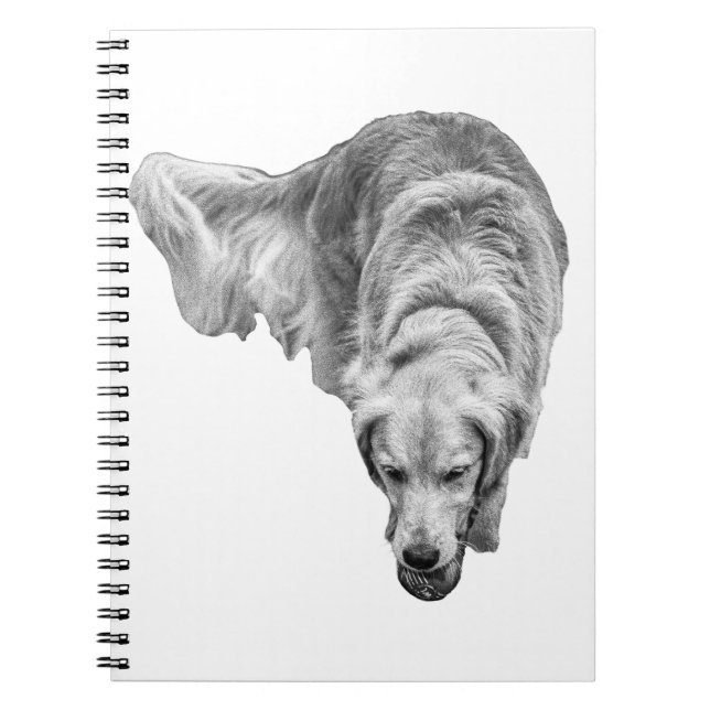 Cuaderno Reflexiones del amanecer helado (Frente)