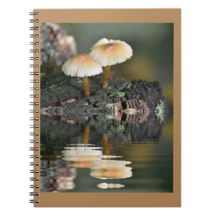 Cuaderno Reflexiones en hongos