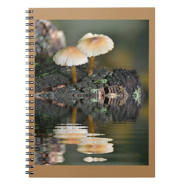 Cuaderno Reflexiones en hongos (Frente)