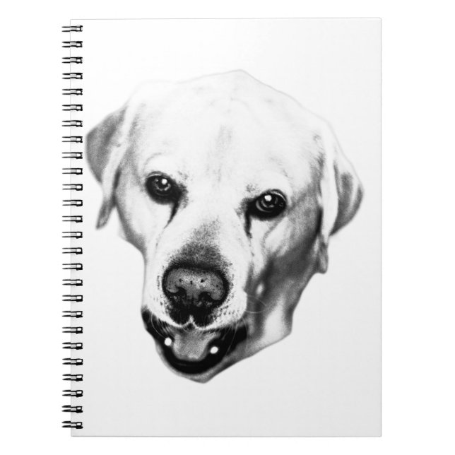 Cuaderno Reflexiones en tinta (Frente)