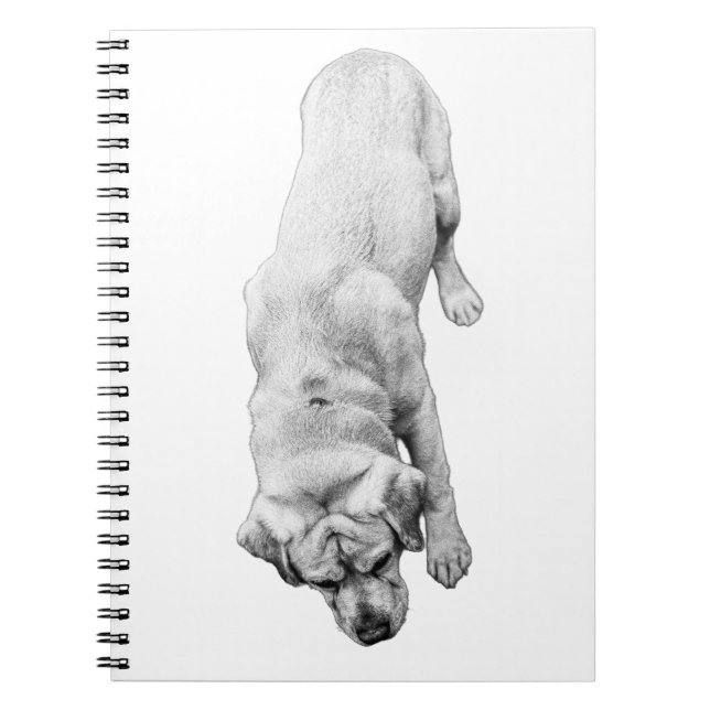 Cuaderno Reflexiones en tinta (Frente)